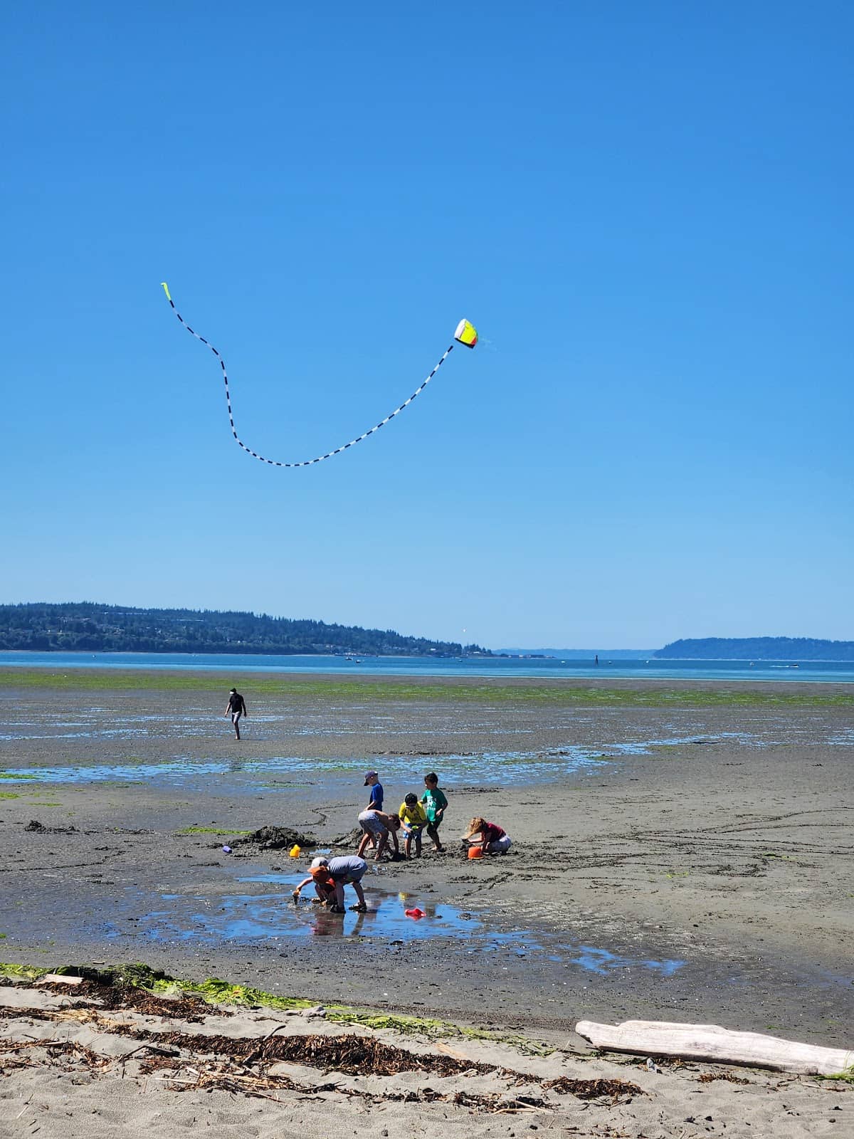 Shallow Waters for Play