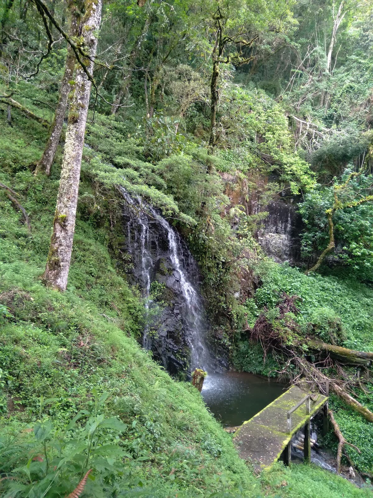 Jaramillo Highlands - Image 1