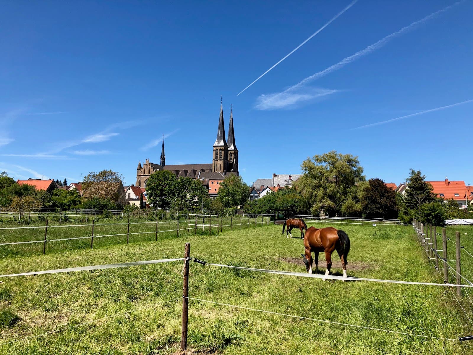 Gonsenheim Mainz - Image 1