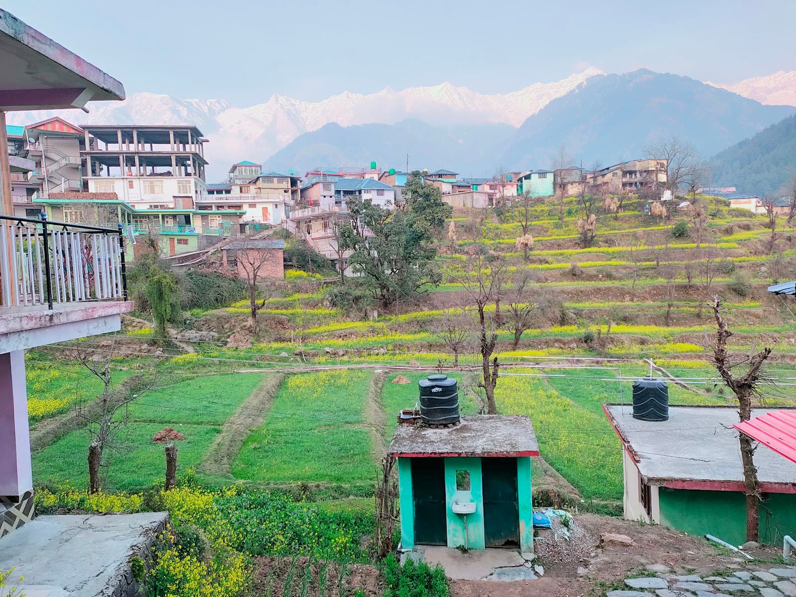 Naddi Village Dharamshala - Image 1