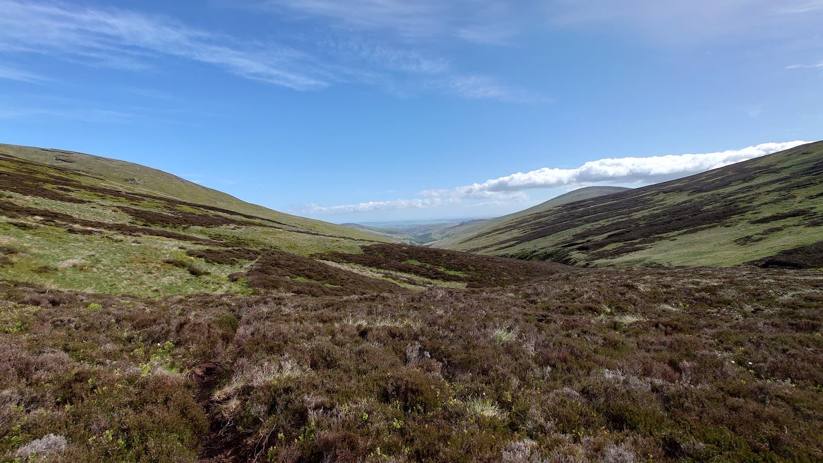 The Cheviot - Image 1