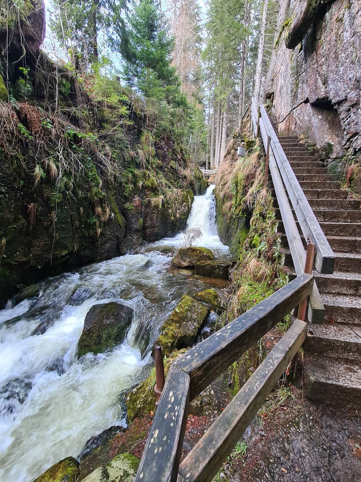 Vertical photo