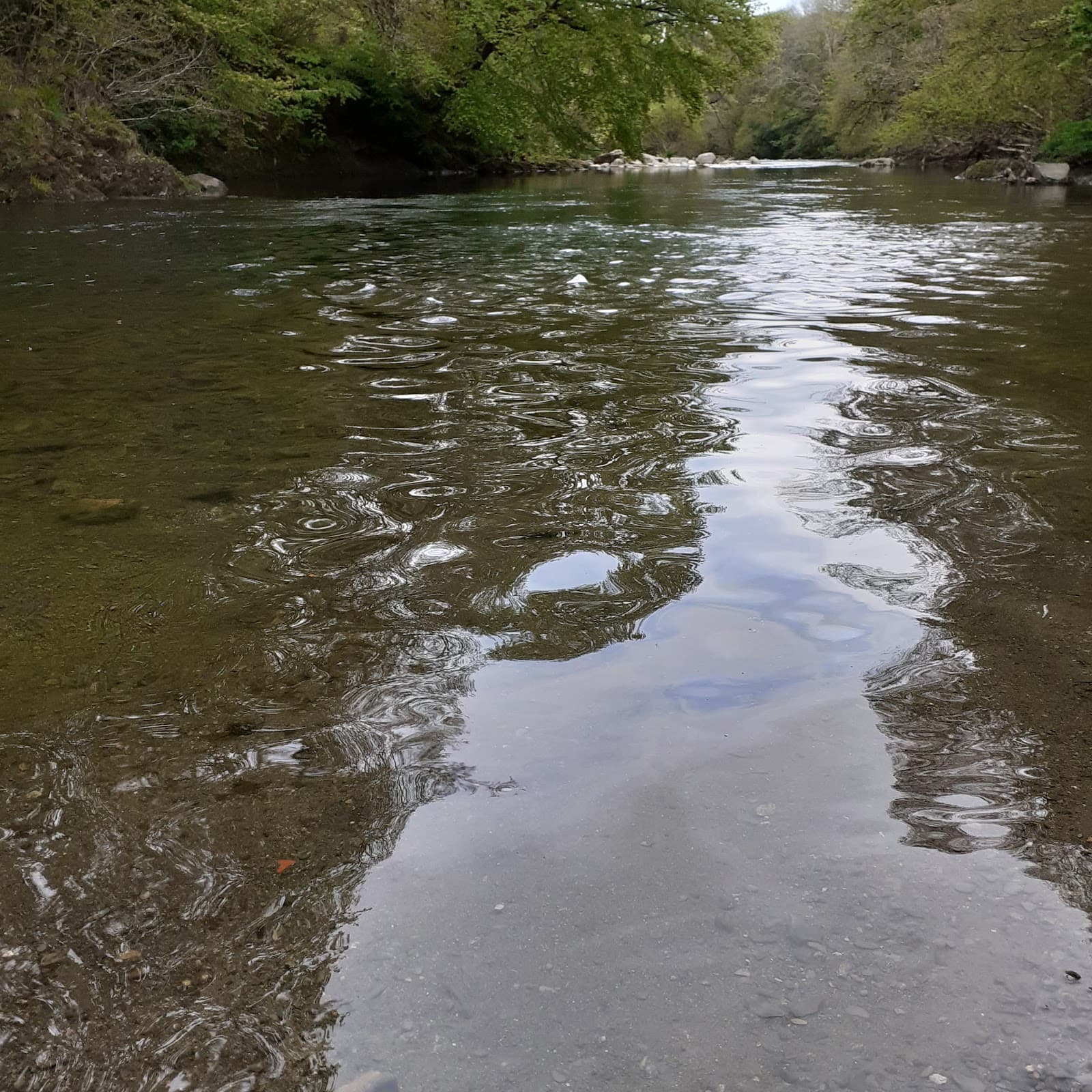 River Cocker–Derwent Confluence - Image 1