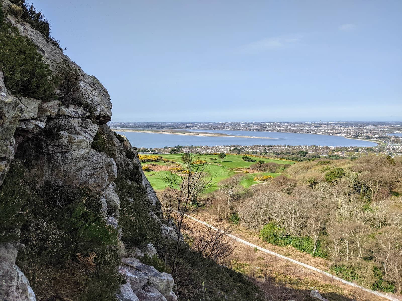 Dog-Friendly Exploration