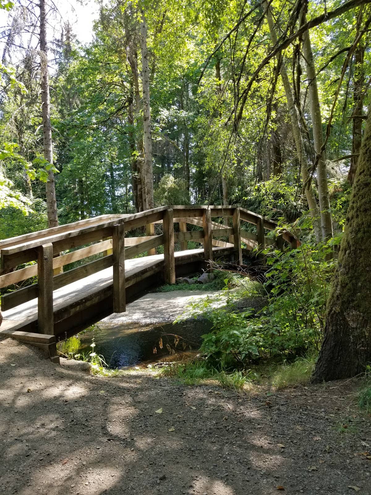 Riverside Playground