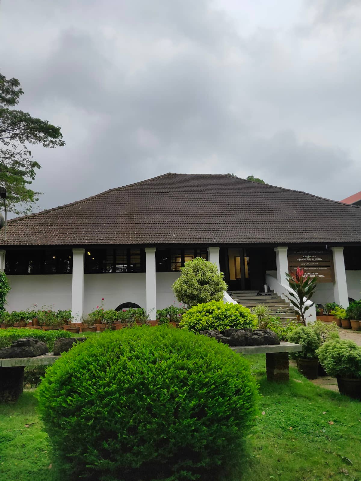 Art Gallery & Murals