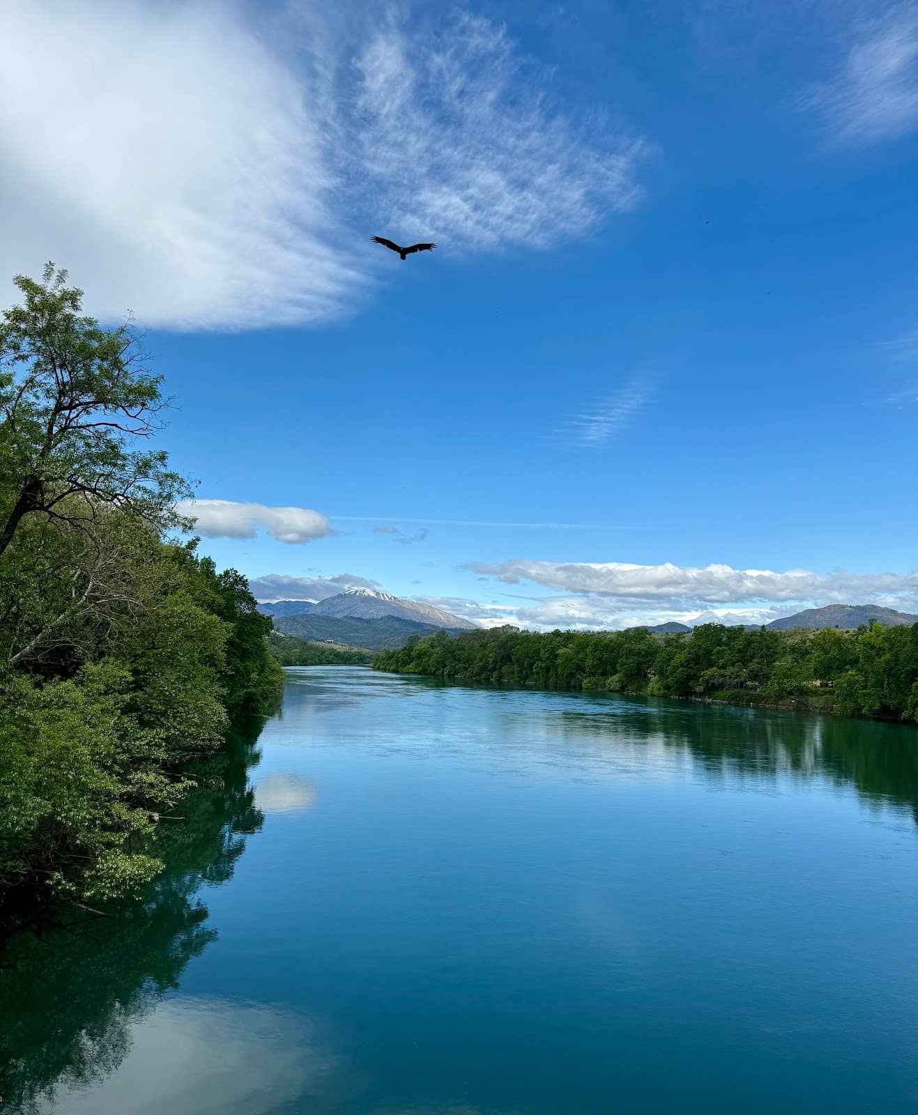 Architectural Marvel