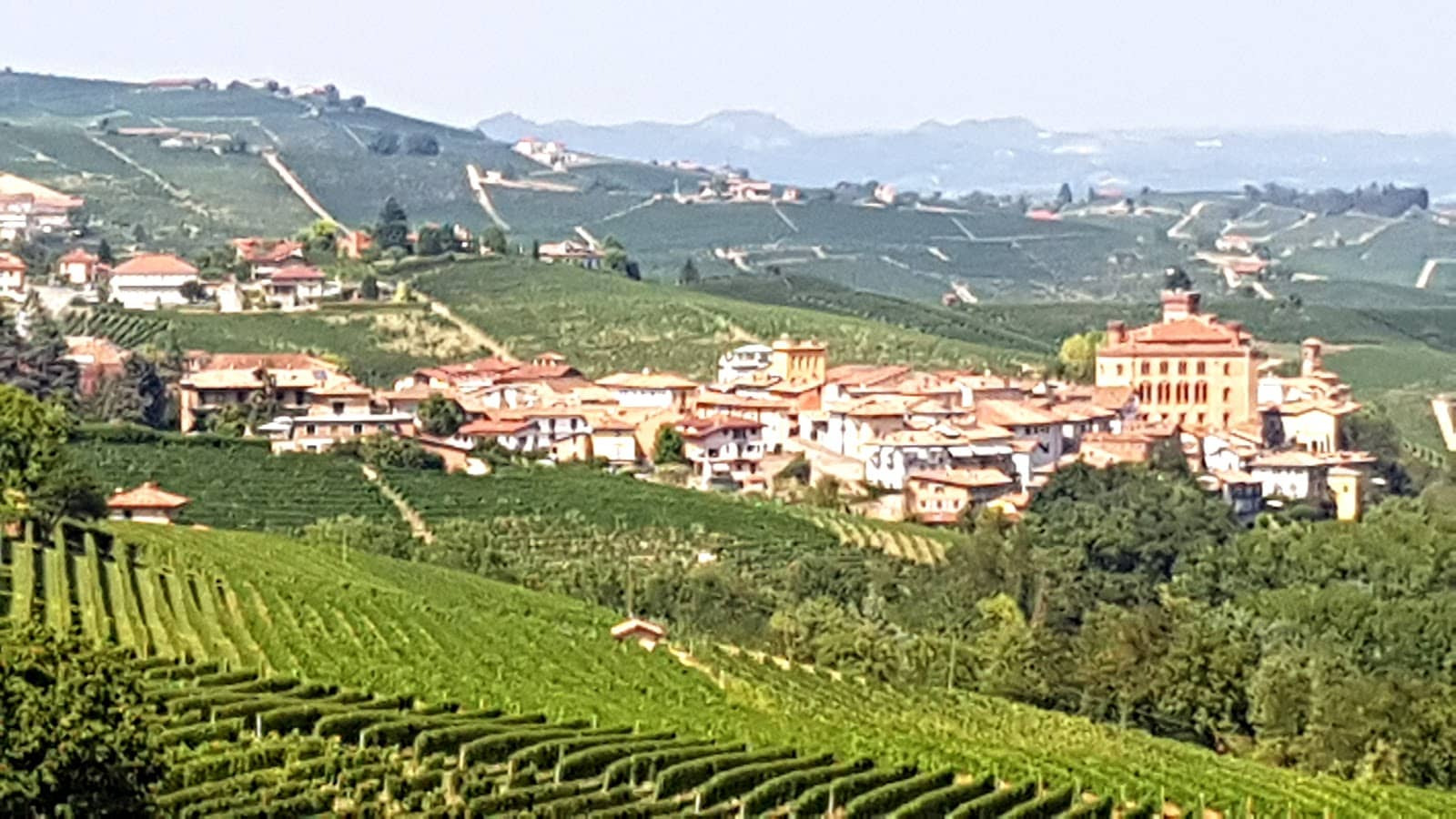 The Dante-Inspired Journey