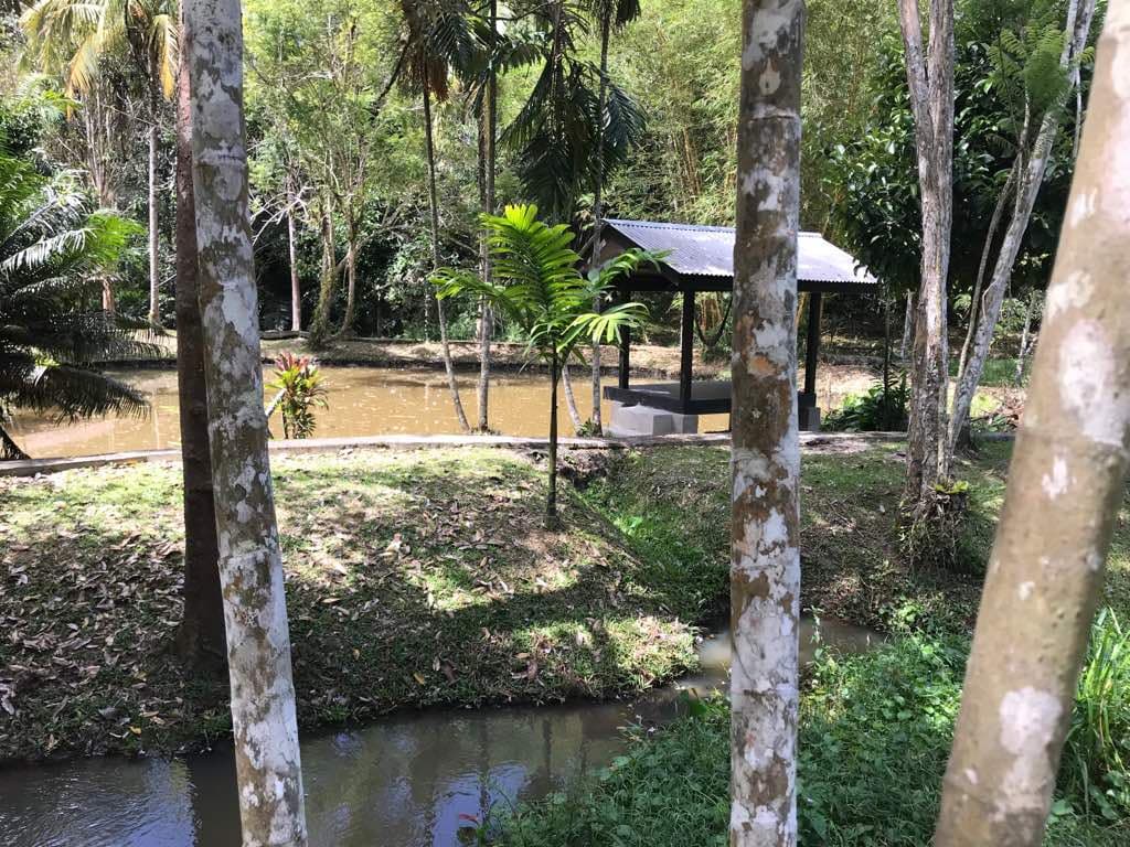 Janda Baik - Image 1