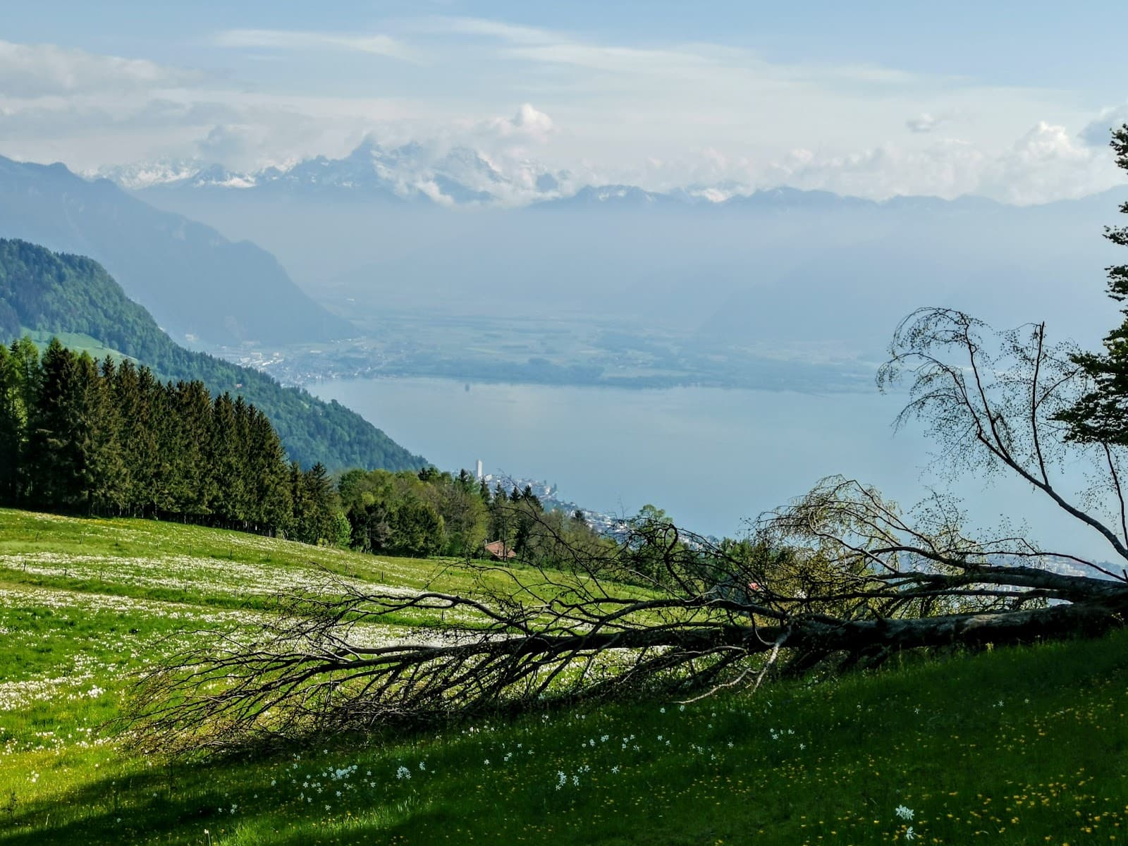 Les Pléiades Switzerland - Image 1