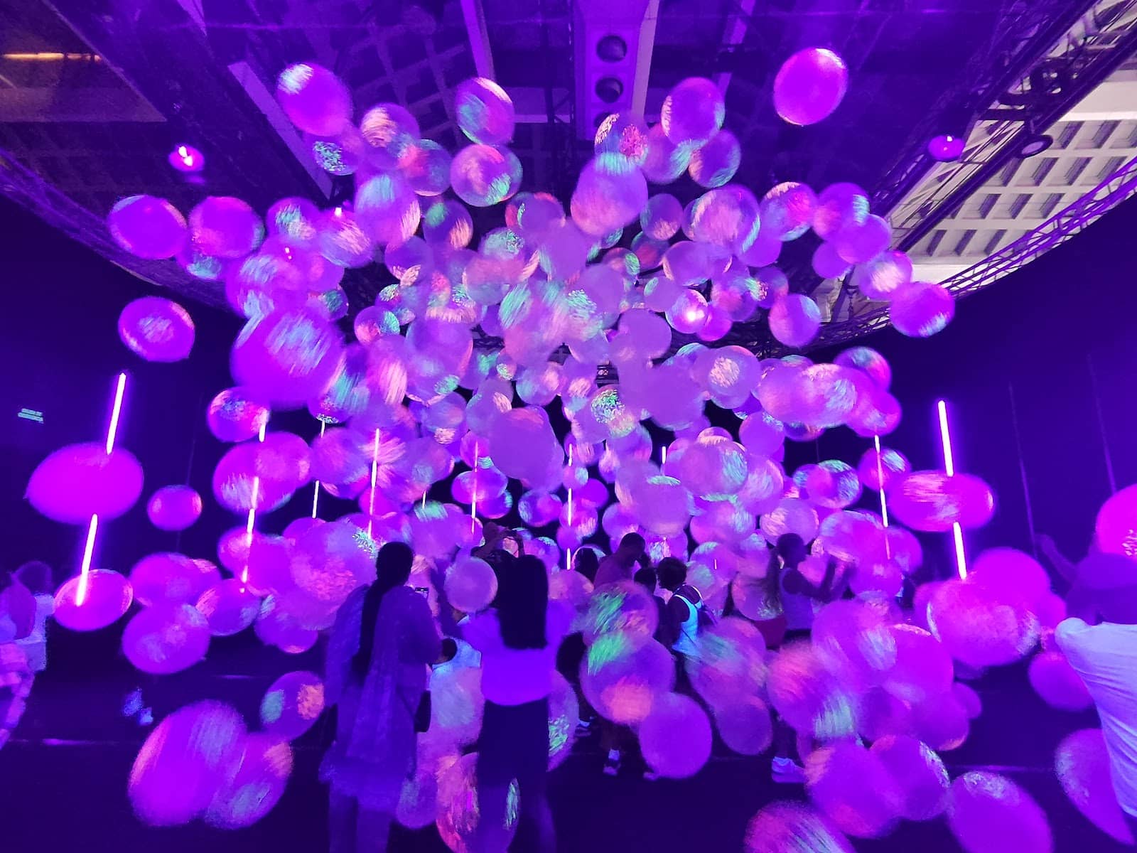 Photo Opportunities Galore