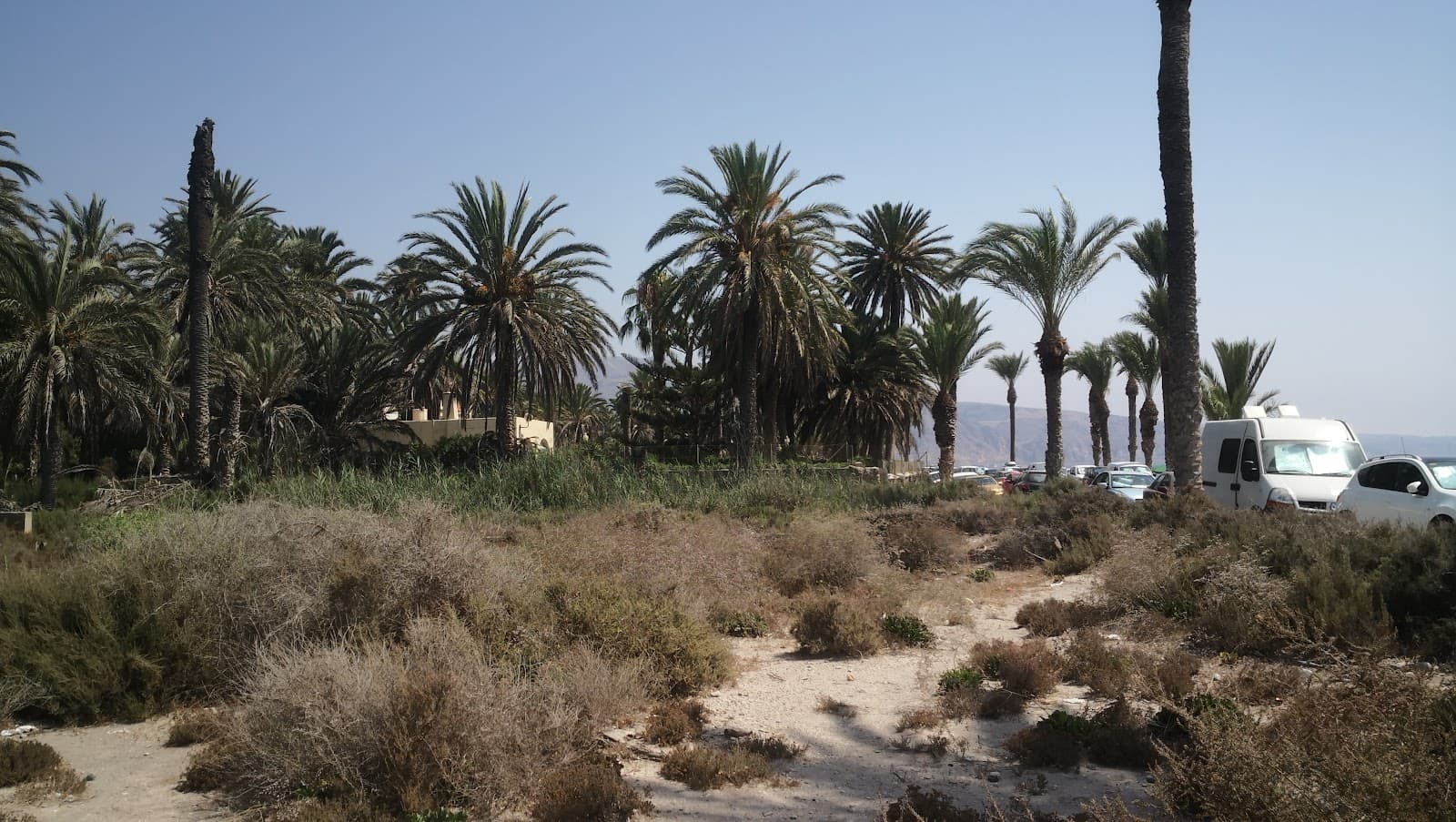 Turaniana Archaeological Site Ribera de la Algaida - Image 1