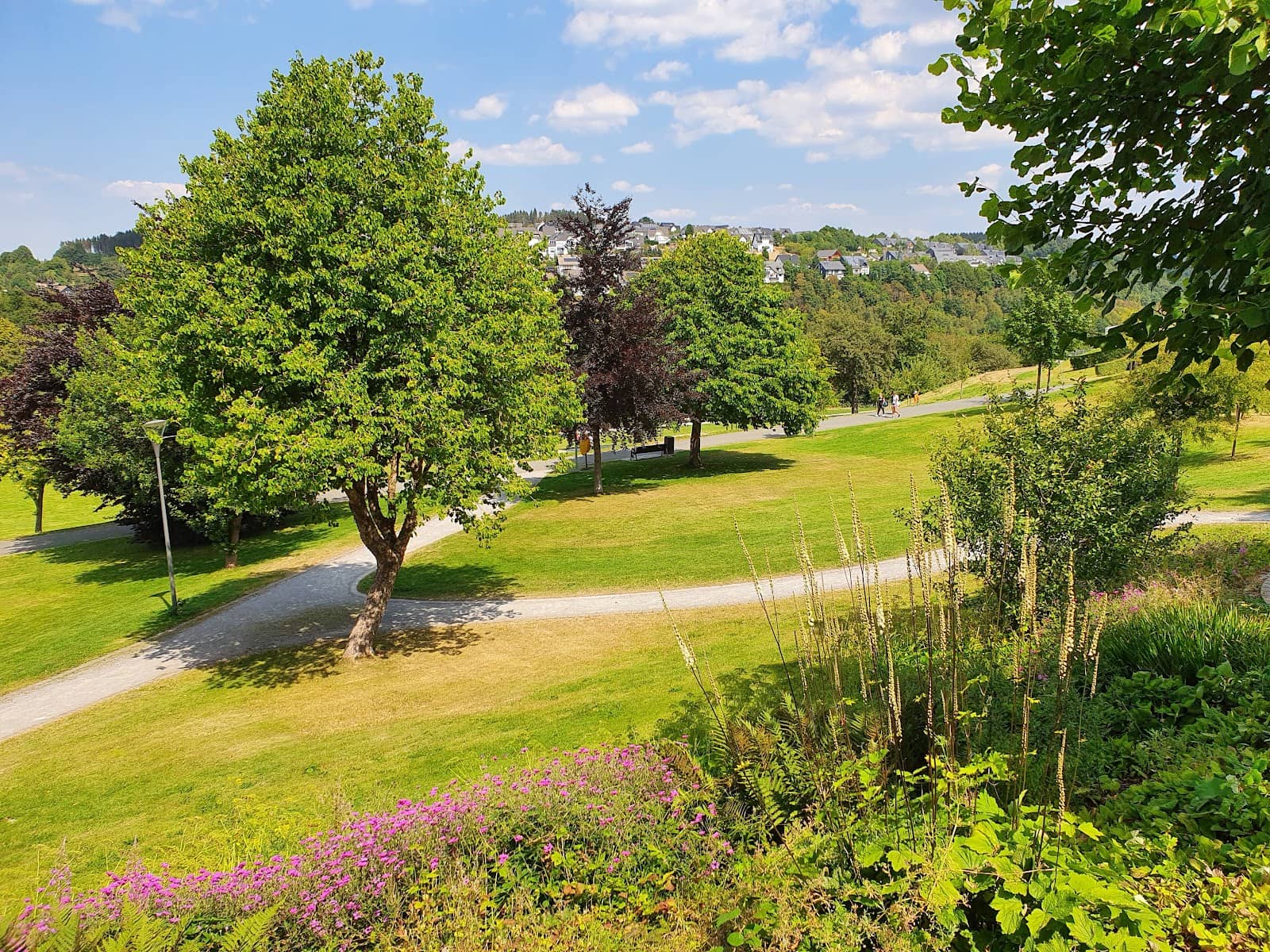 Lush Greenery & Walking Paths