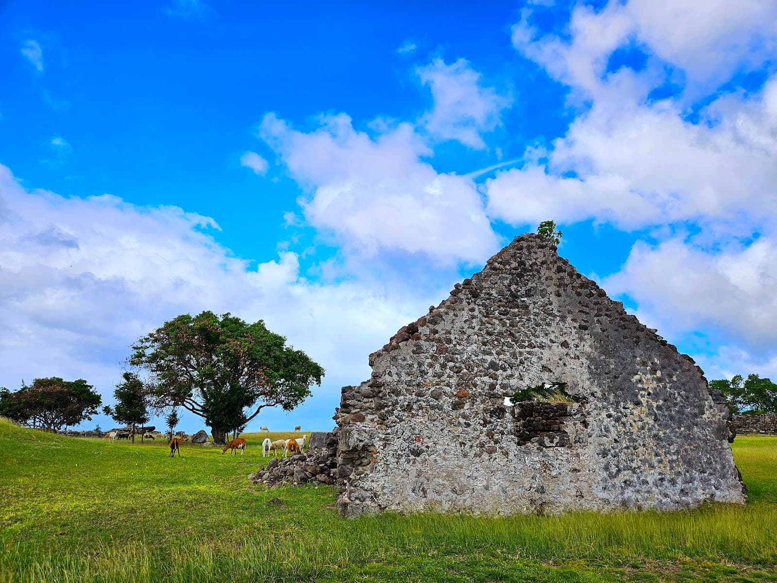 Fort Charles Nevis - Image 1