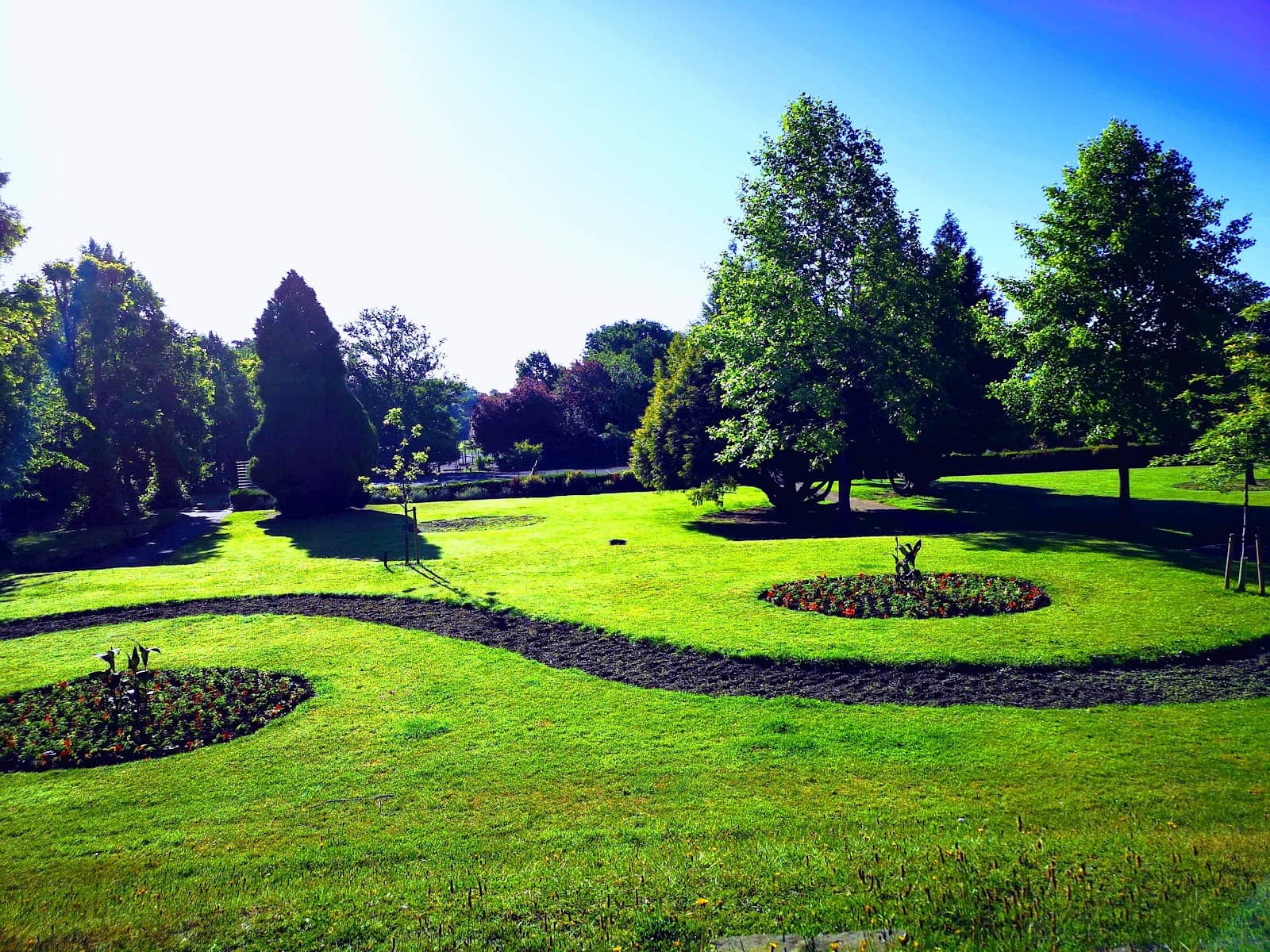 Wildlife Ponds & Tree Trail