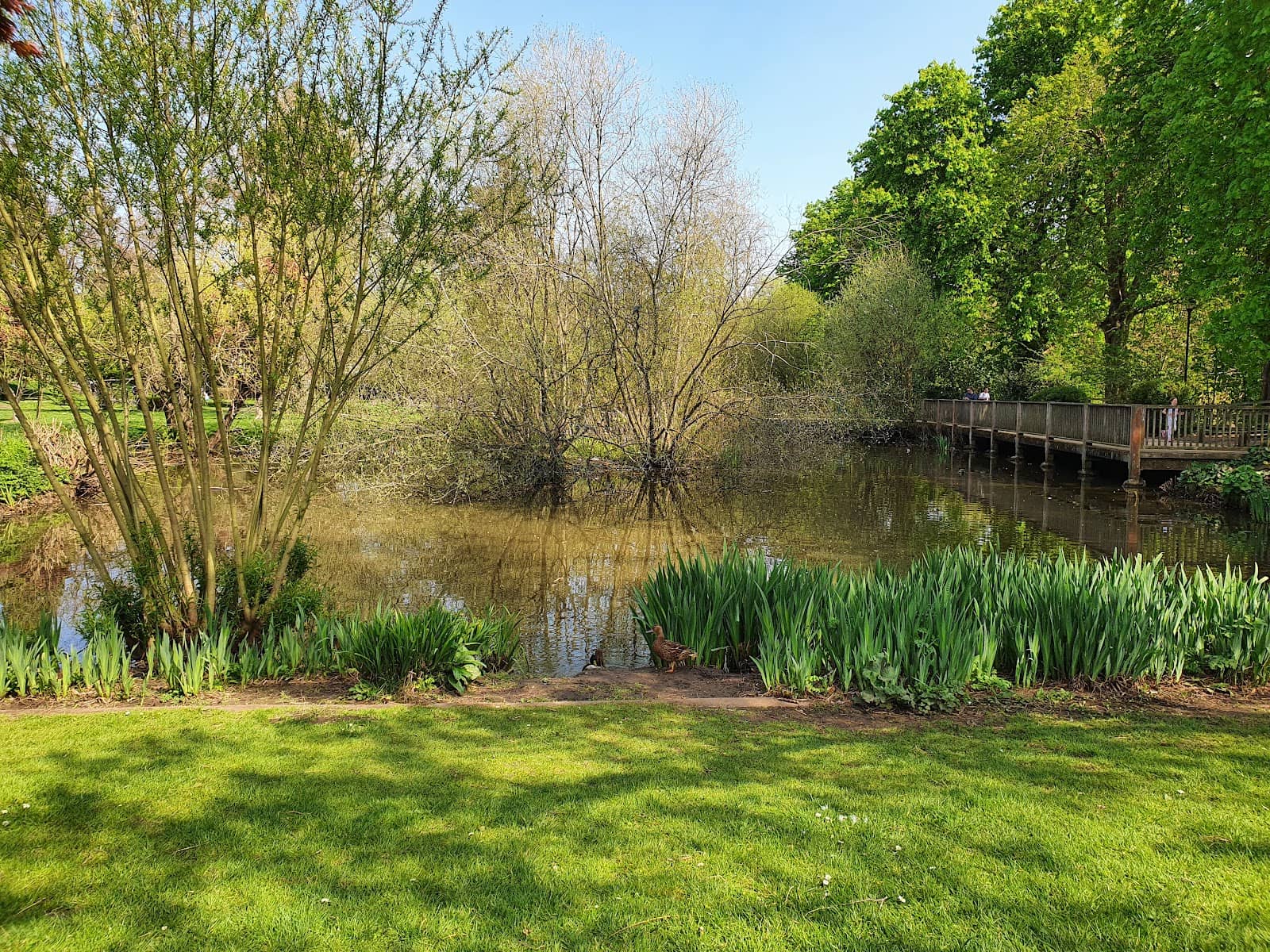 Leisure Centre & Pool