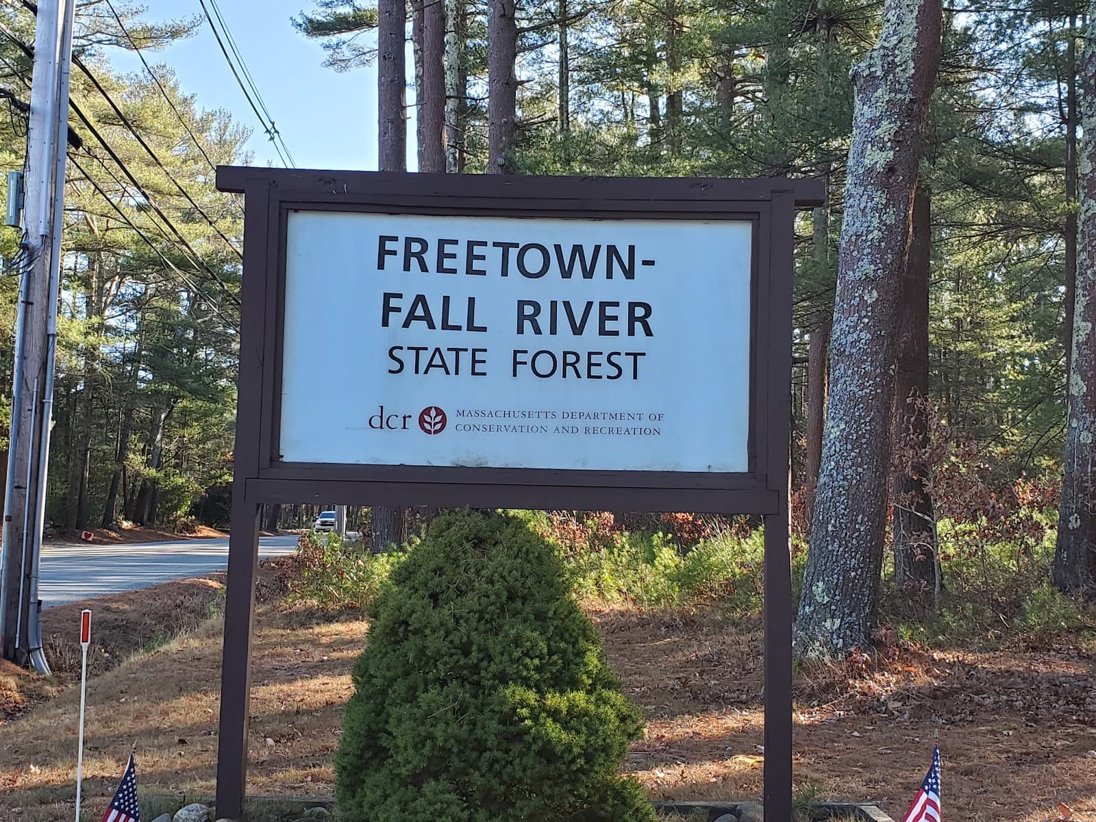 Freetown-Fall River State Forest - Image 1