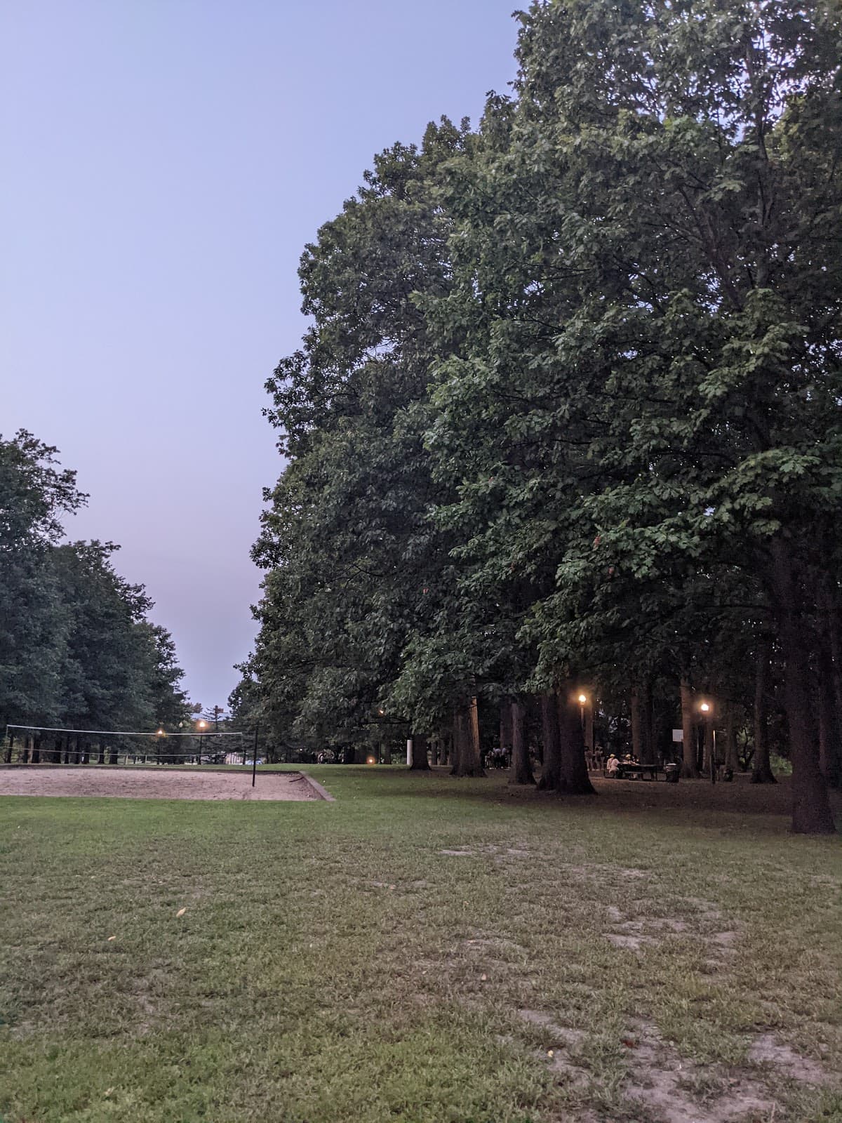 Illini Grove - Image 1