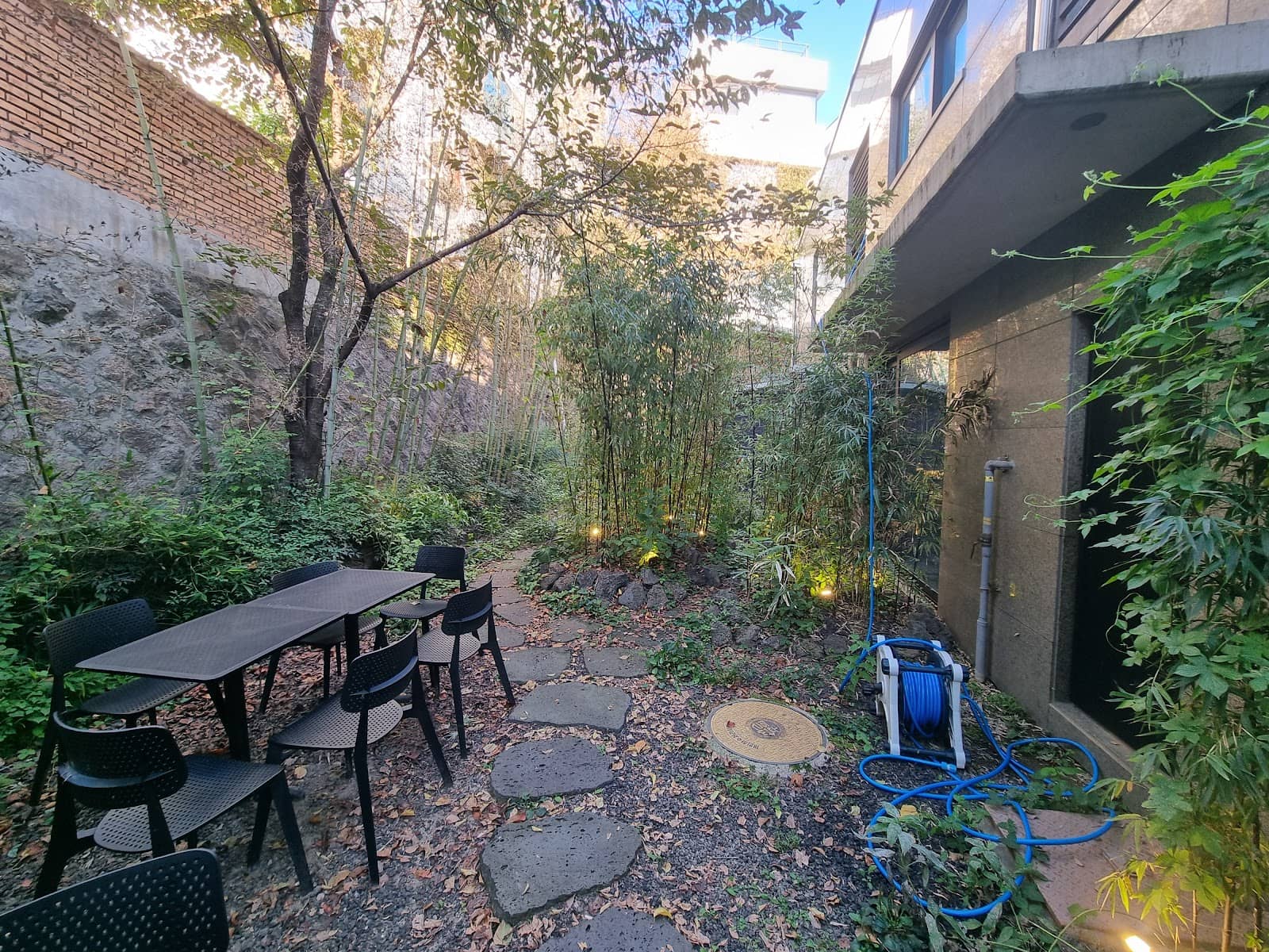 Cozy, Serene Ambiance