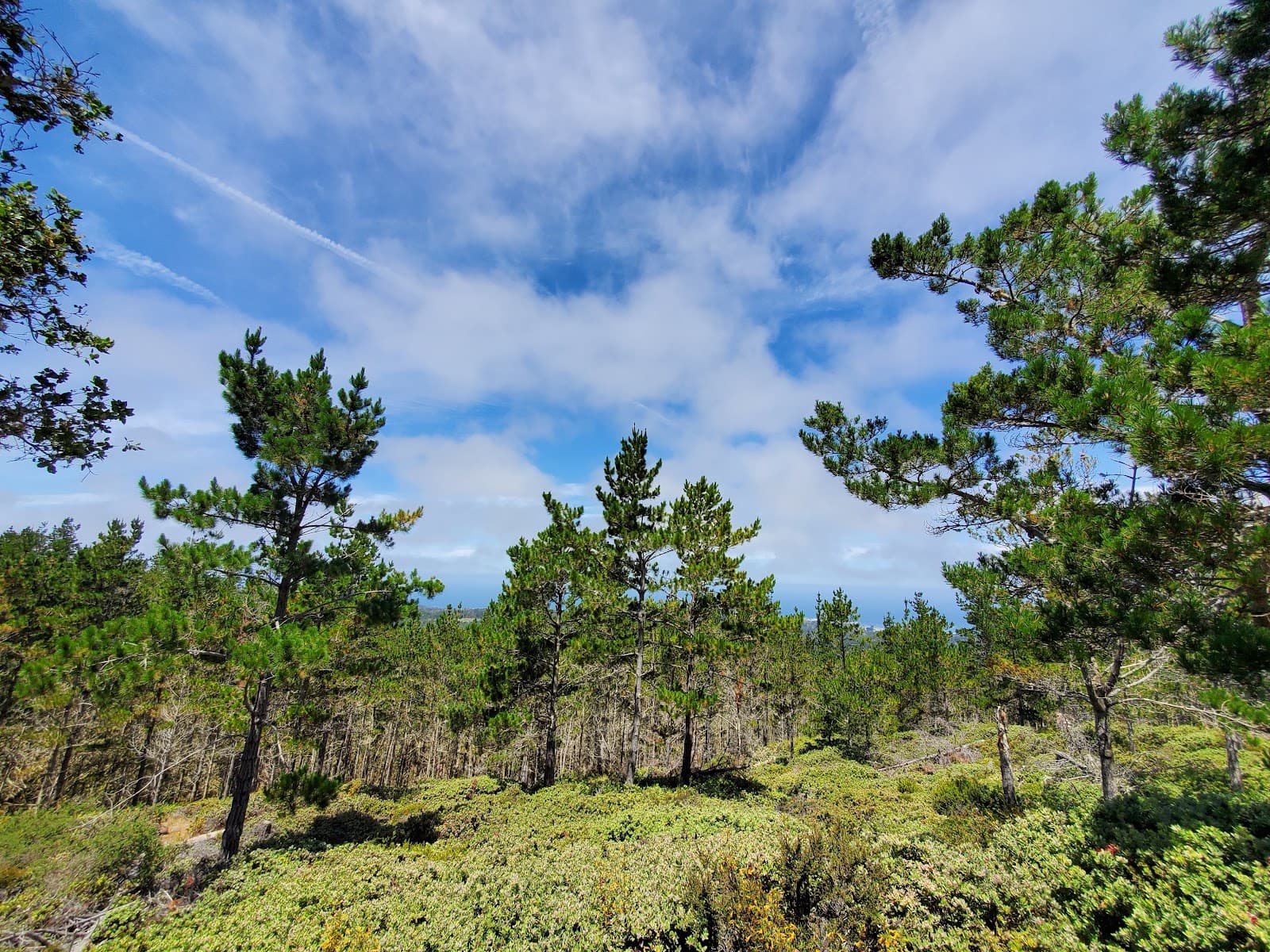 Huckleberry Hill Open Space - Image 1