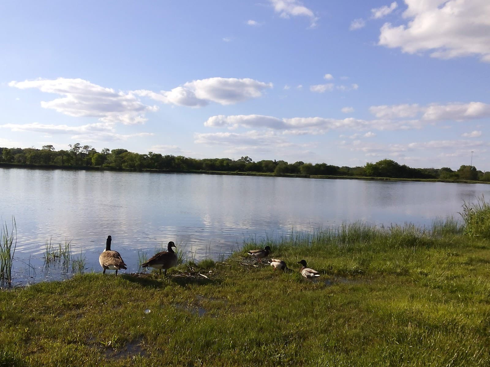 Oak Lake Park - Image 1