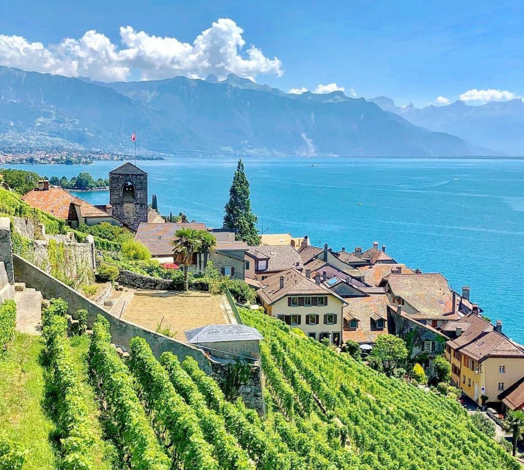 Saint-Saphorin Lavaux - Image 1