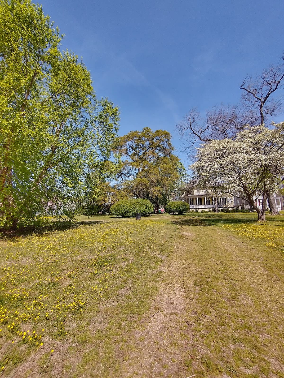 Poplar Lawn Park - Image 1