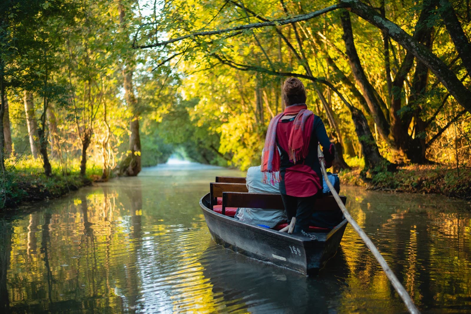Marais Poitevin (Green Venice) - Image 1