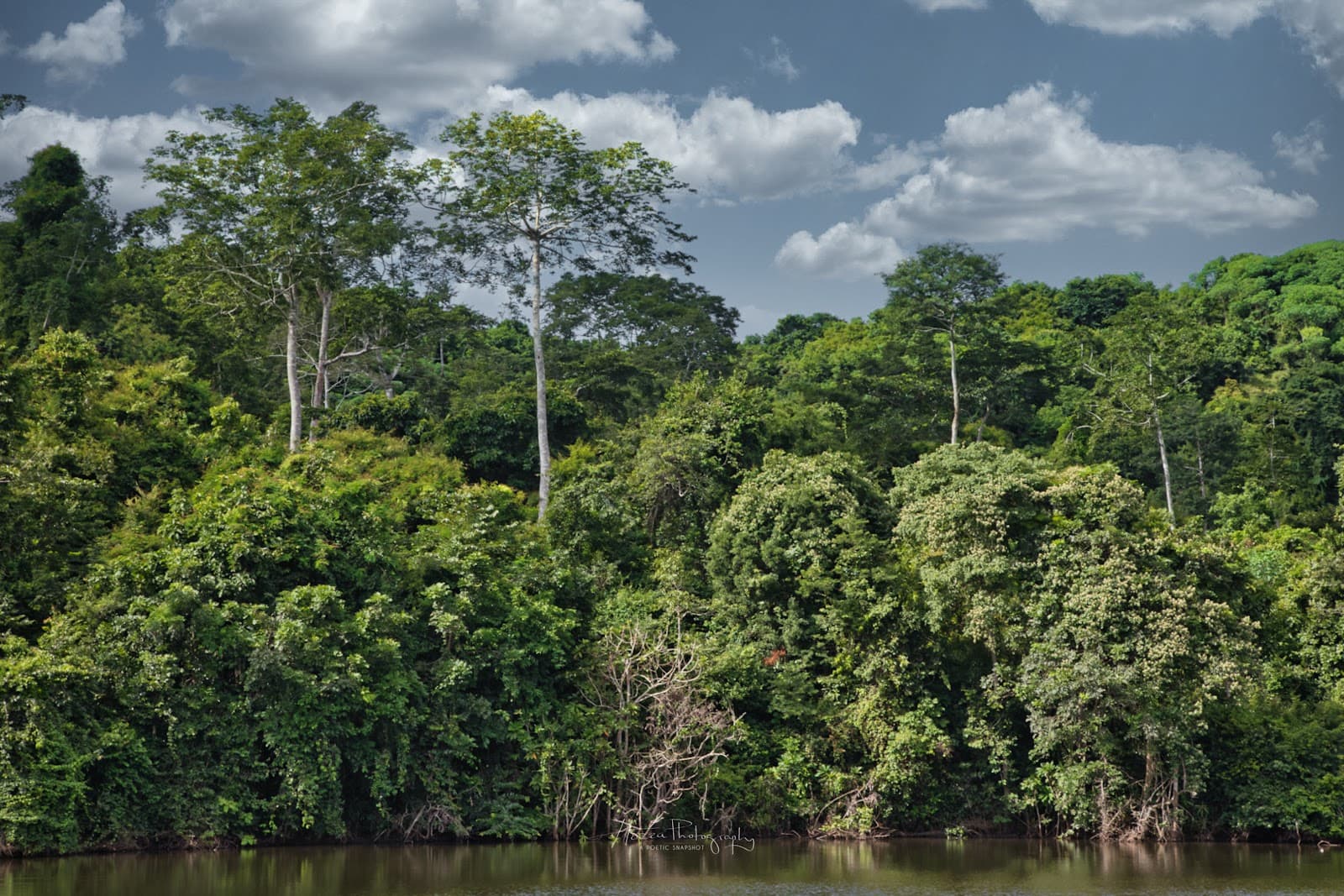 Pugu Hills Nature Reserve - Image 1
