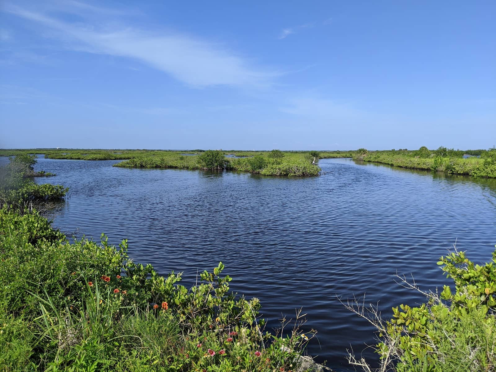Birdwatching Paradise