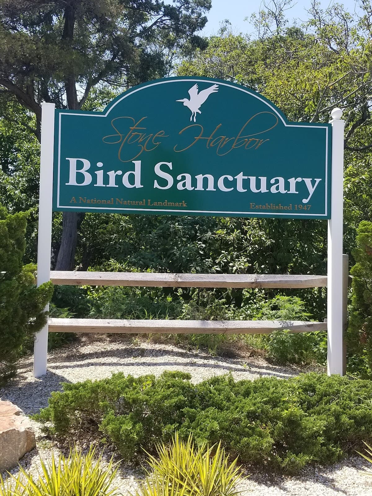 Stone Harbor Bird Sanctuary - Image 1