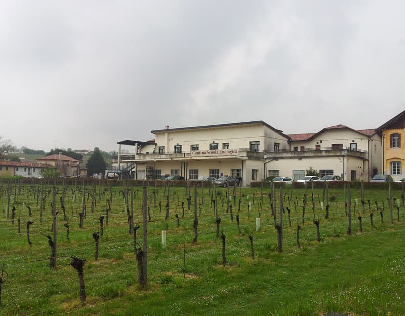 Museo Enologico Cerletti - Image 1