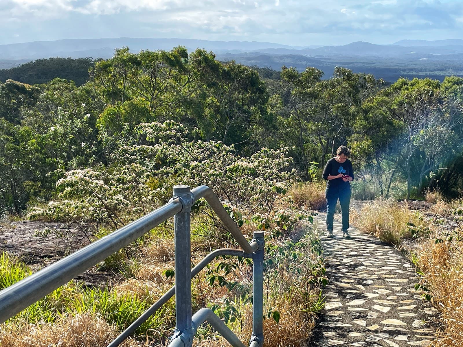 Mount Tinbeerwah Lookout - Image 1