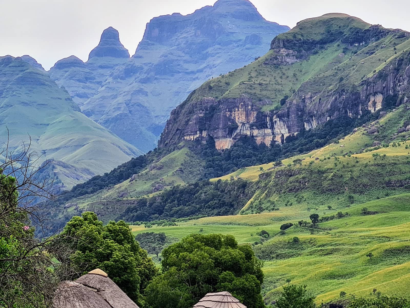 Scenic Hike to Peak Foundation