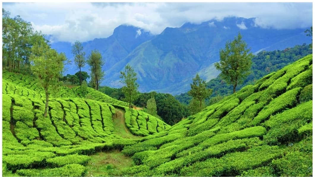 Photo Point - Image 1