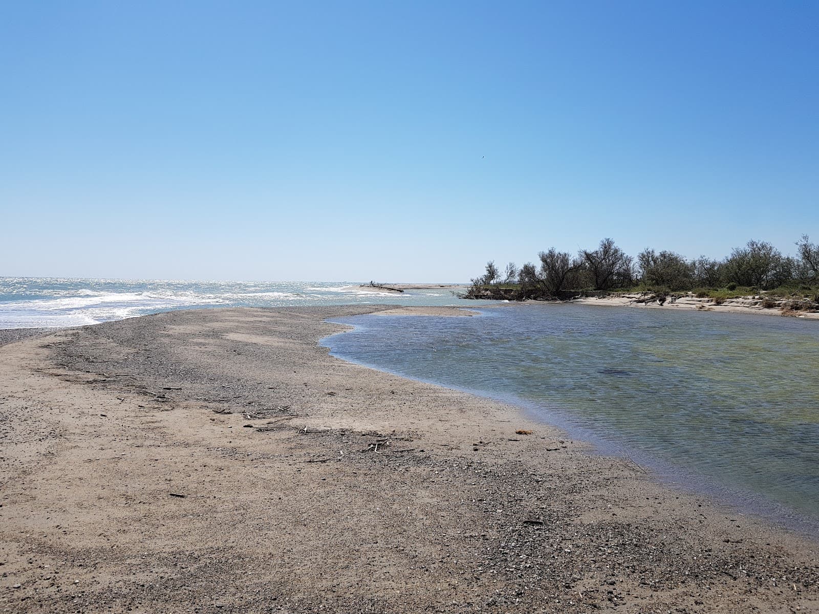 Foce del Neto Nature Reserve - Image 1