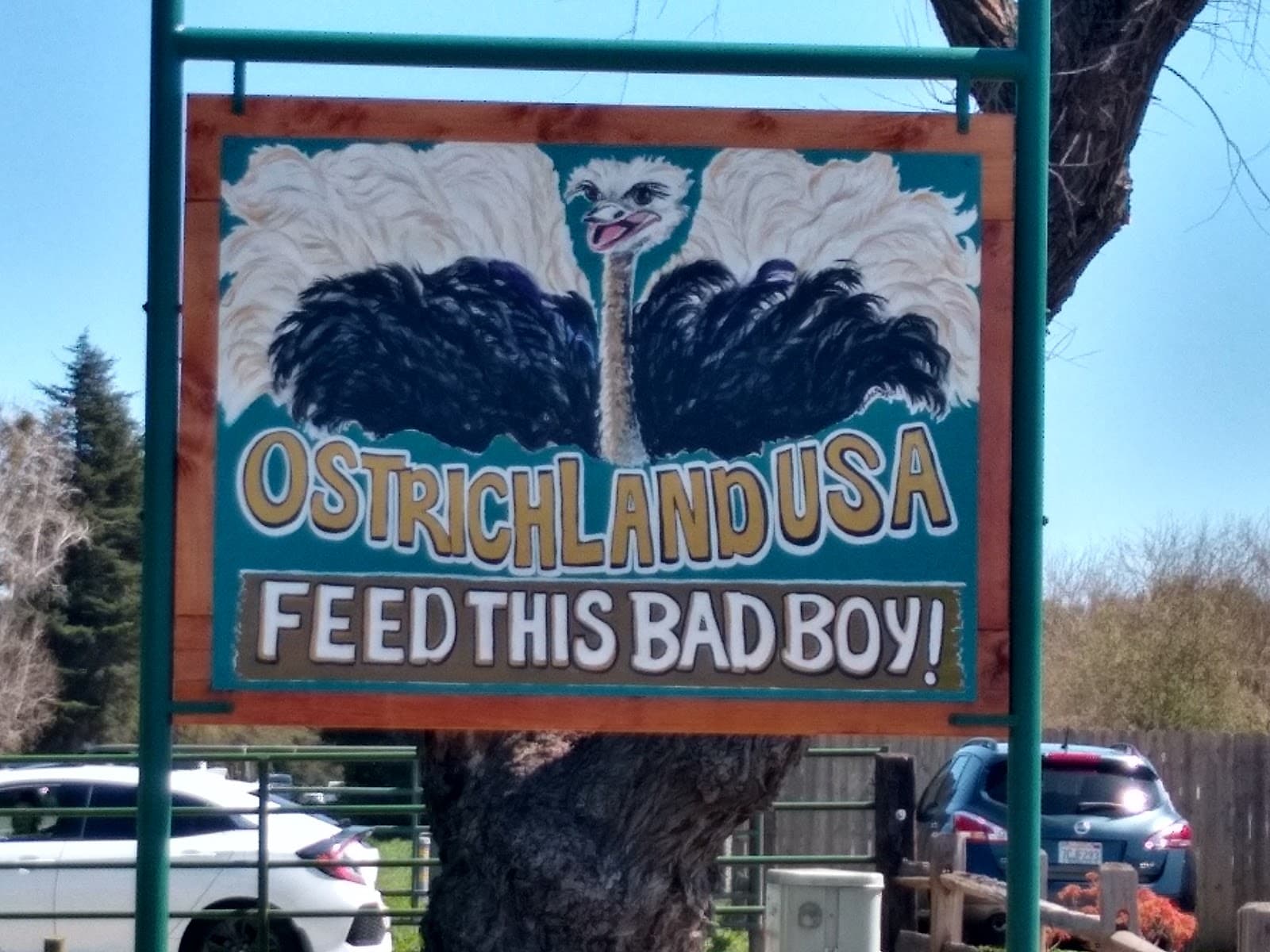 OstrichLand USA - Image 1
