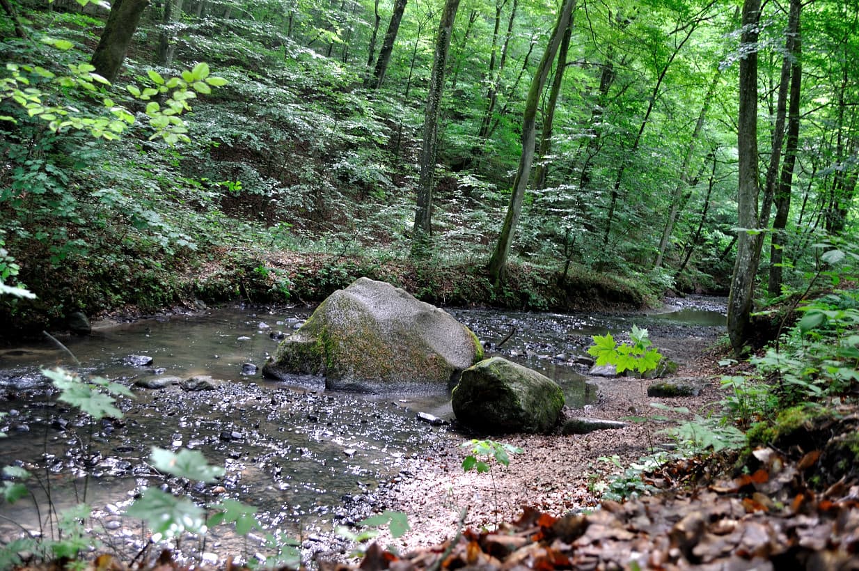 Elbląg Upland Landscape Park - Image 1