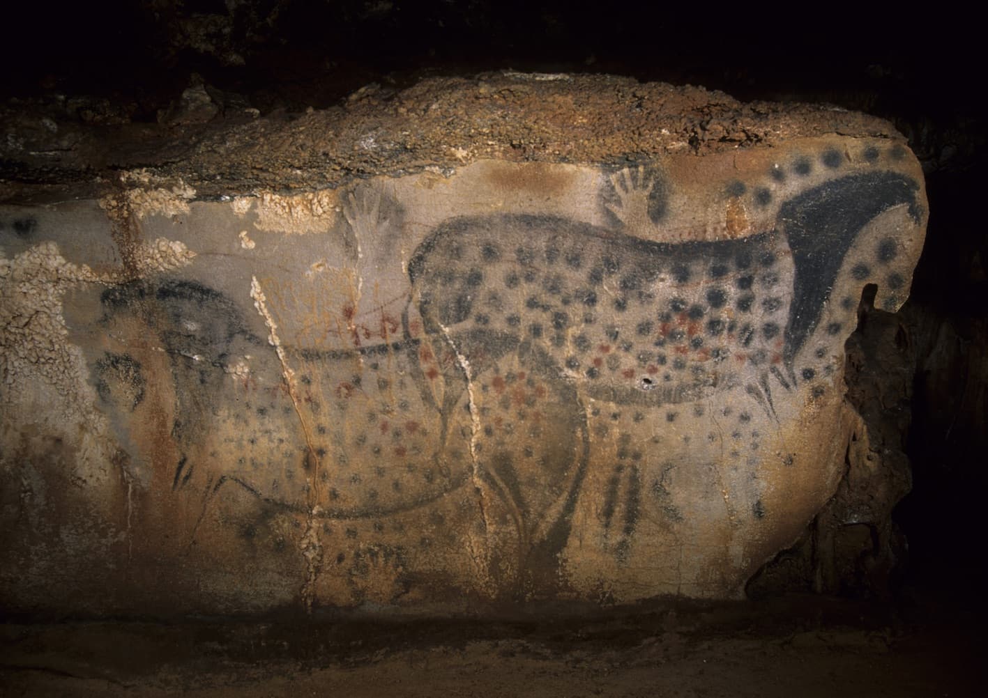 Pech Merle Cave - Image 1