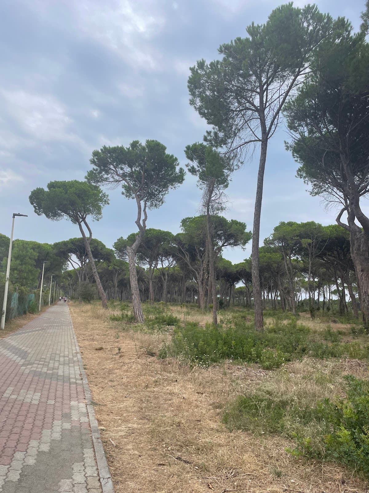 Ciclovia Grosseto–Marina - Image 1