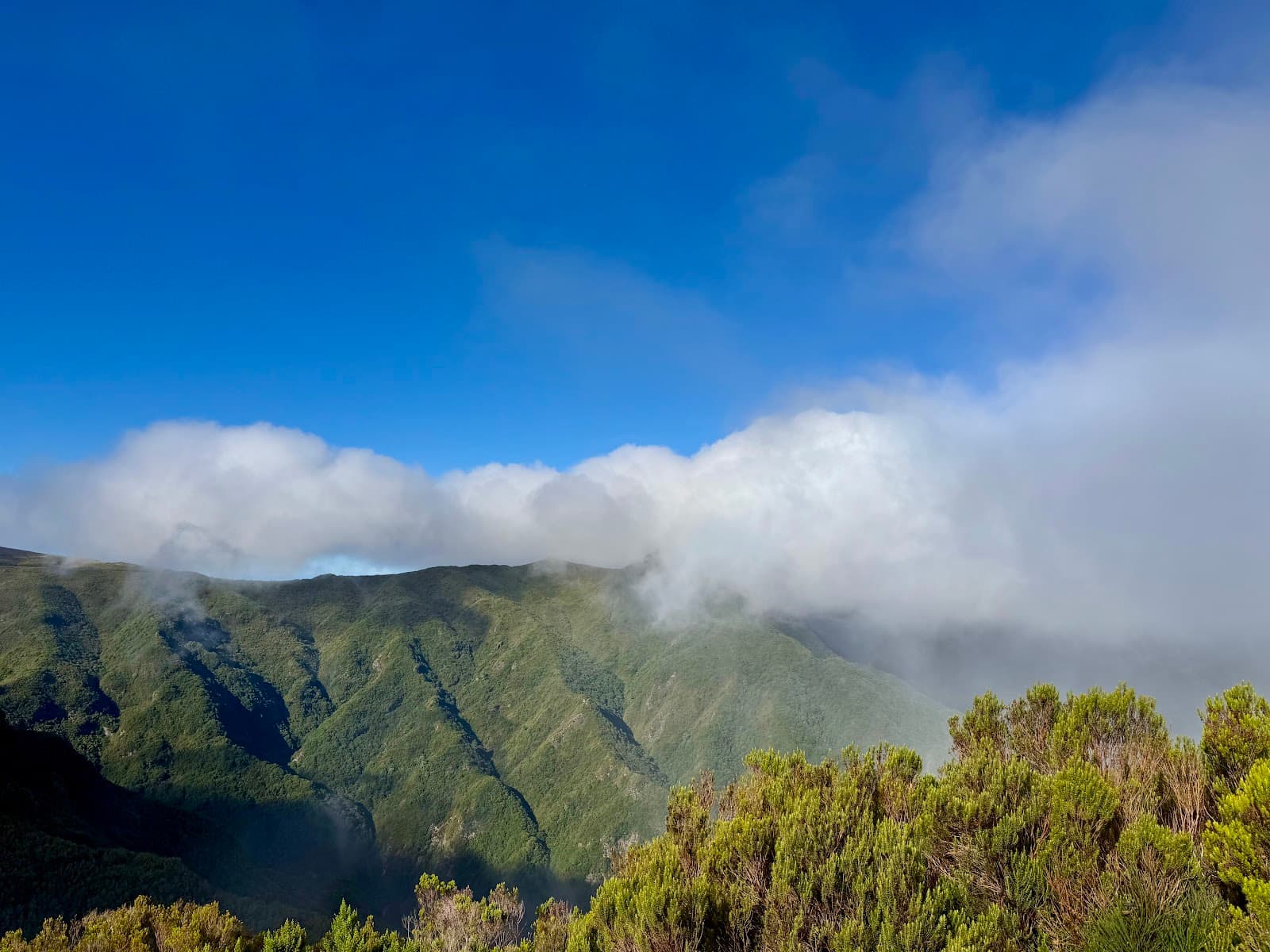 Vereda do Fanal PR13 - Image 1