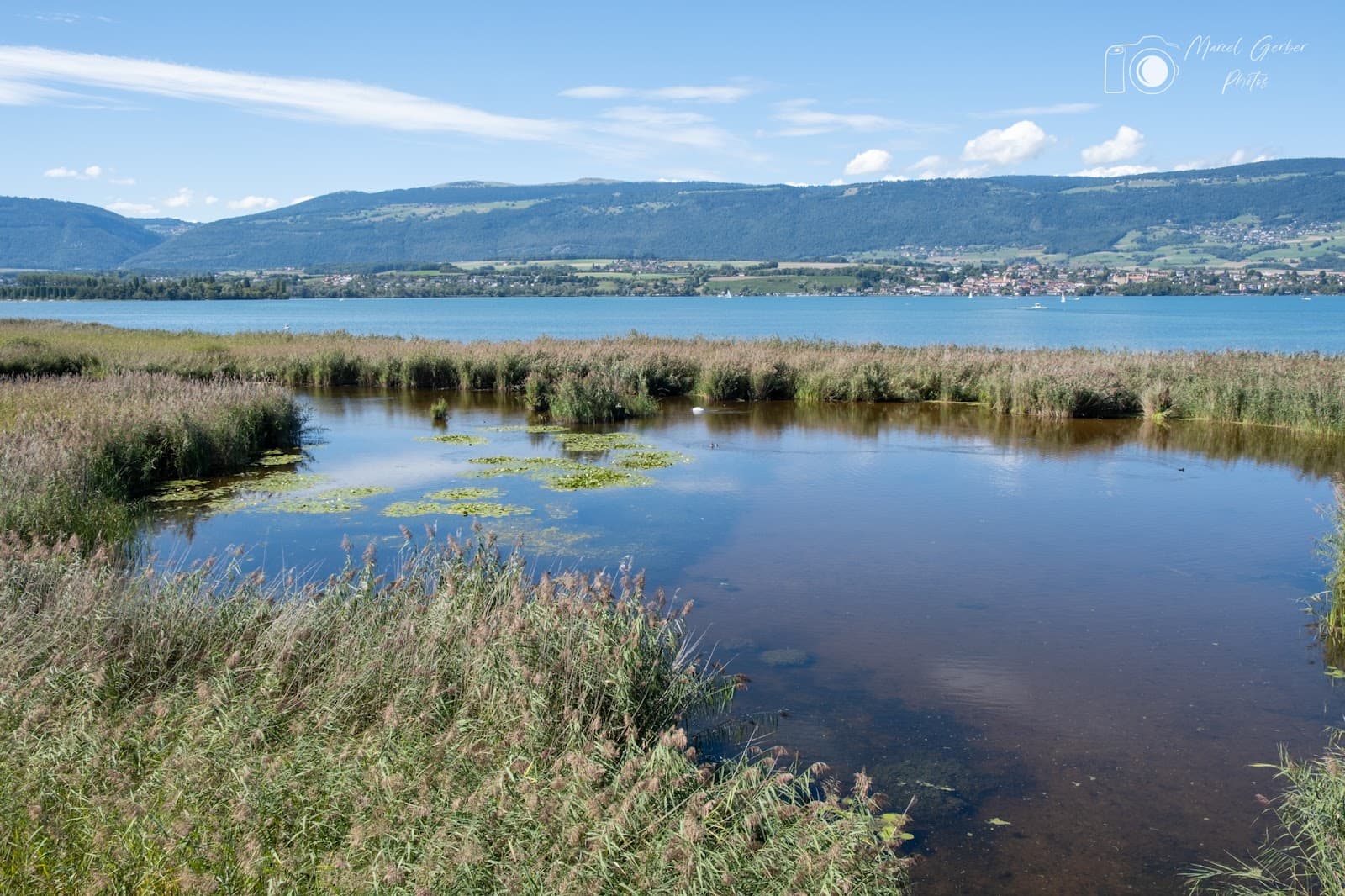 Pro Natura Center Champ-Pittet - Image 1