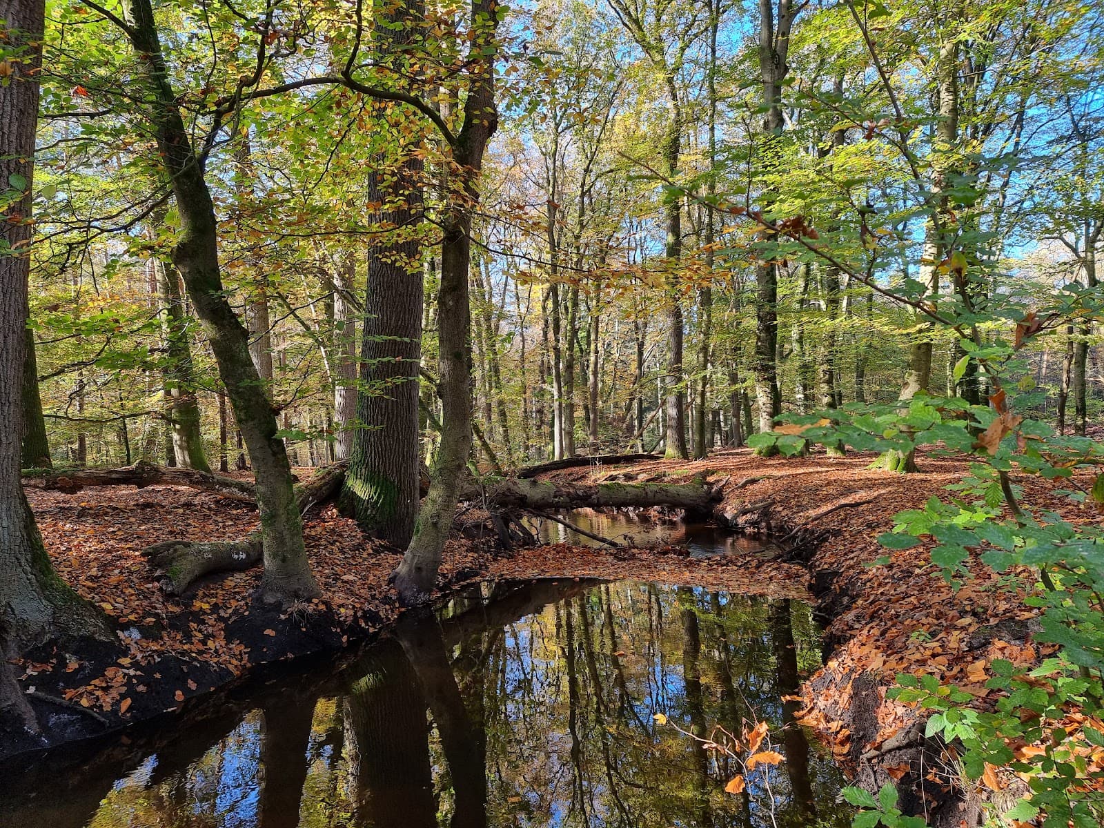 Hierdense Beekdal - Image 1