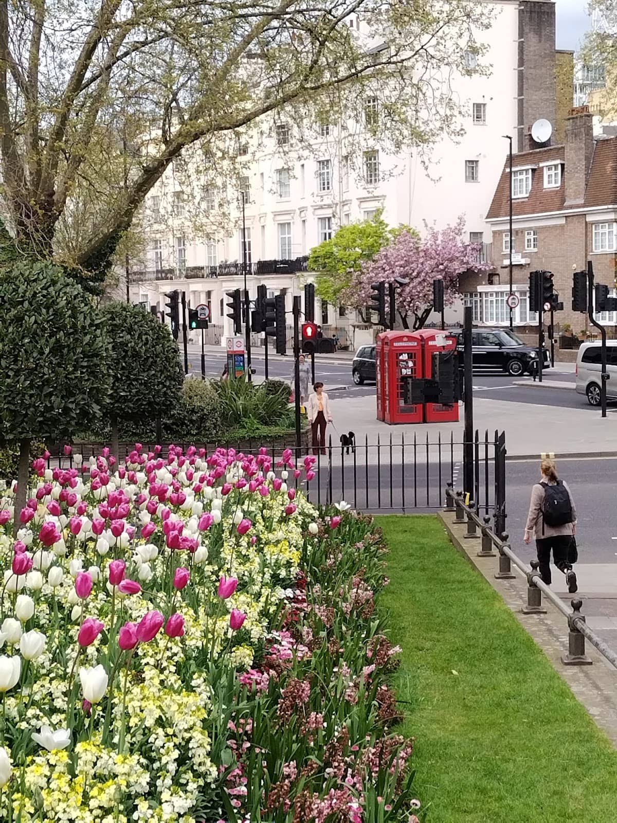 Trendy Eateries and Cafes