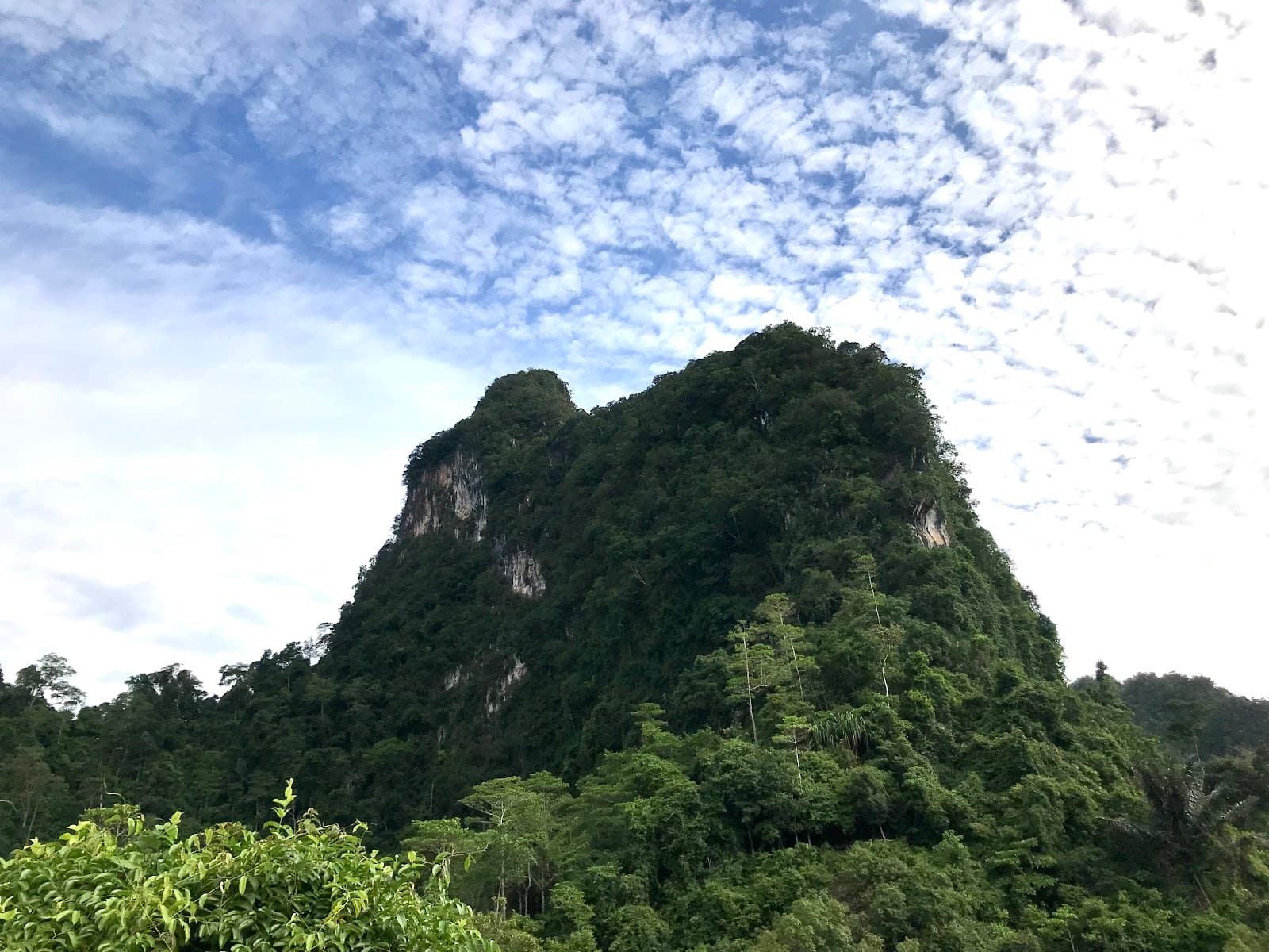 Khlong Phanom National Park - Image 1
