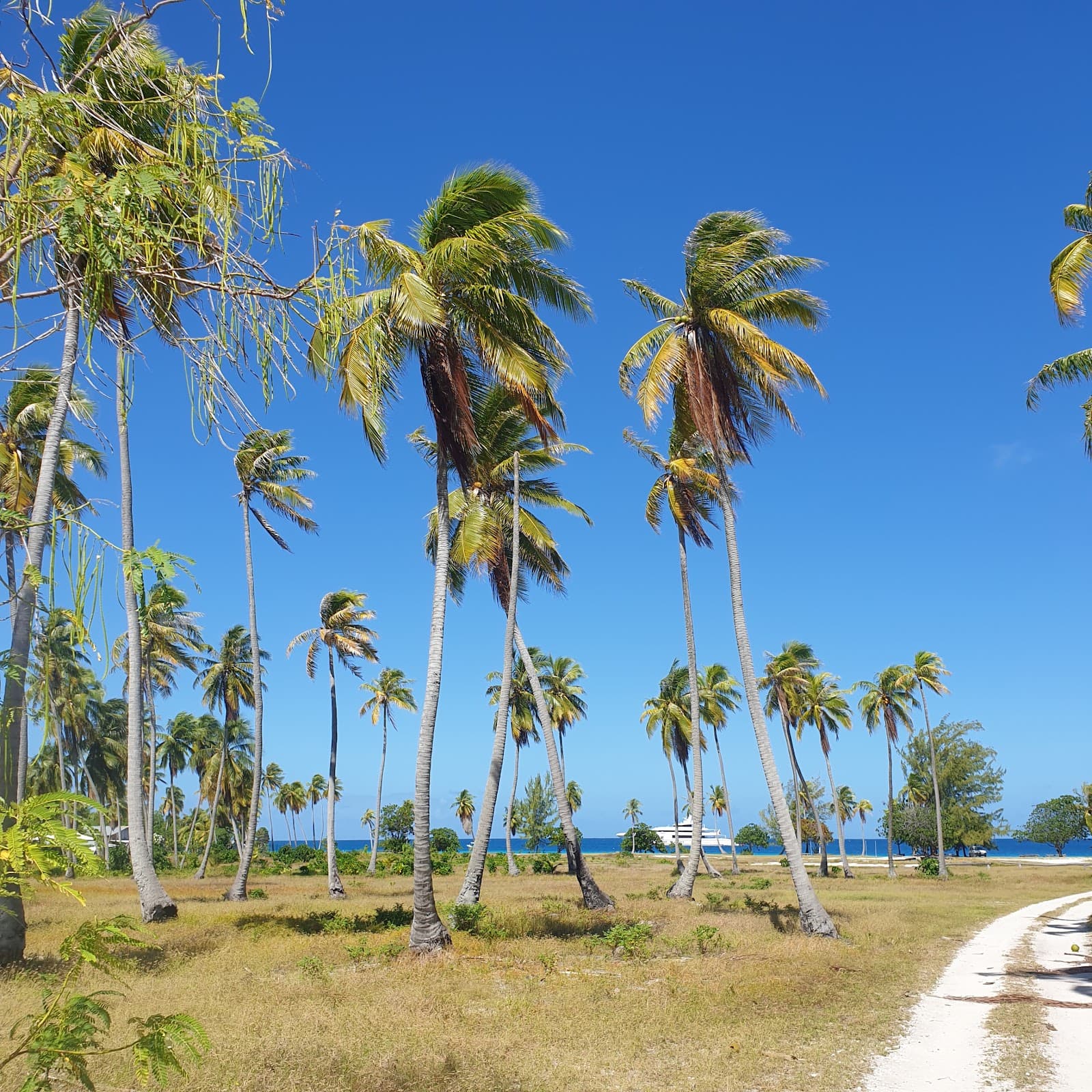 Pink Sand Beach Rangiroa - Image 1