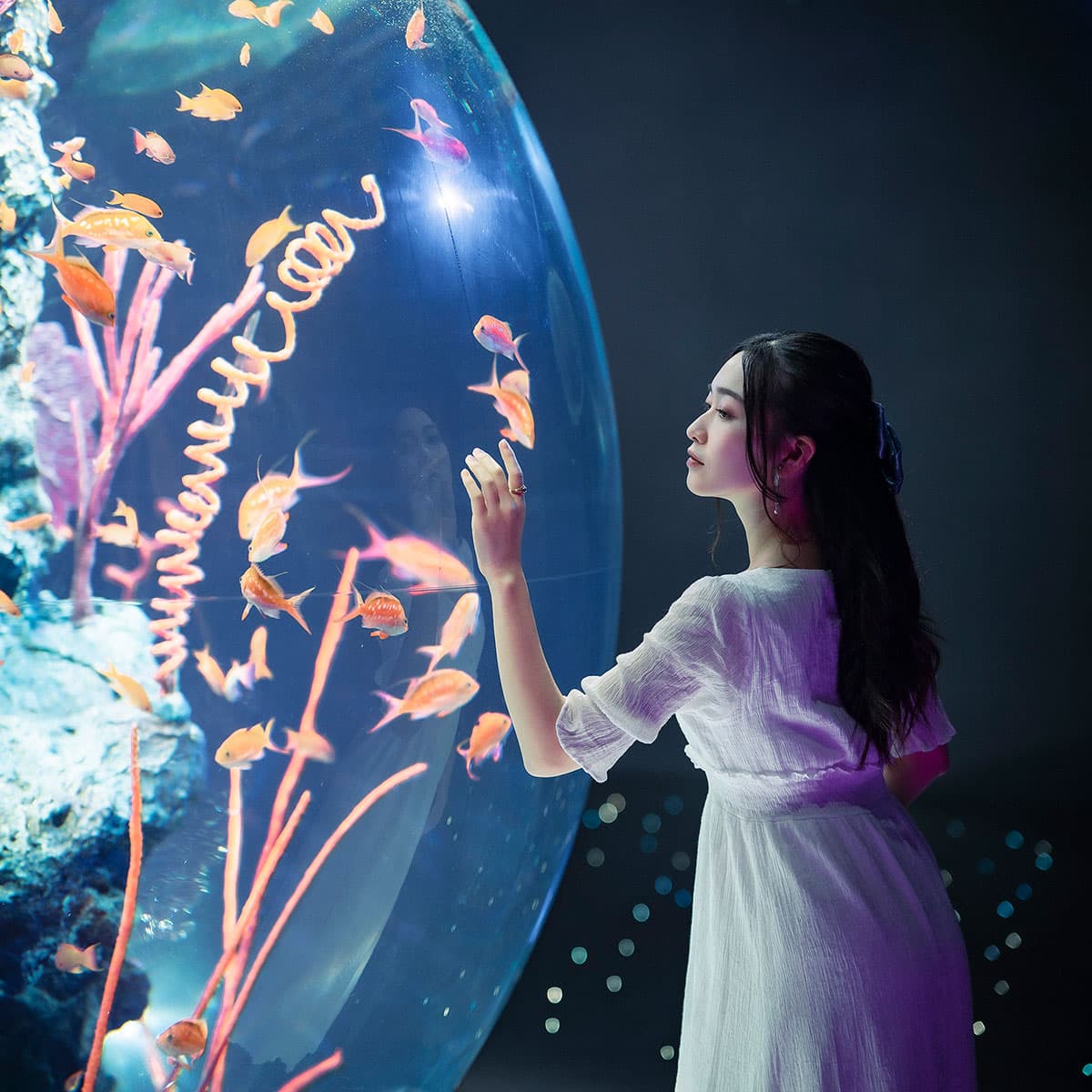 Atoa Aquarium - Image 1