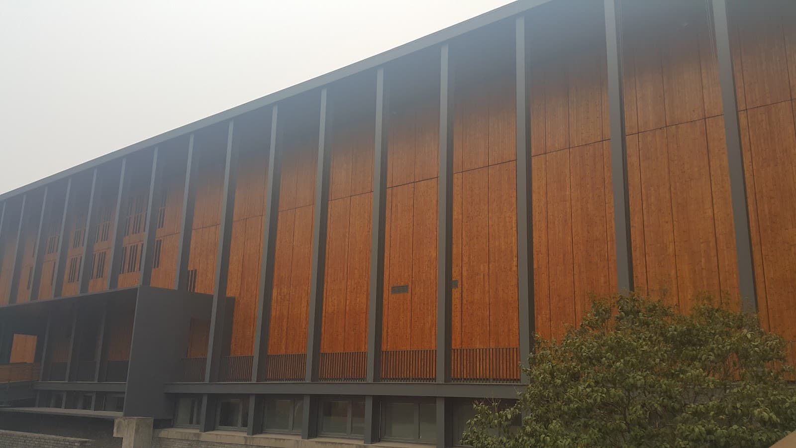 Ningbo Museum of Art - Image 1