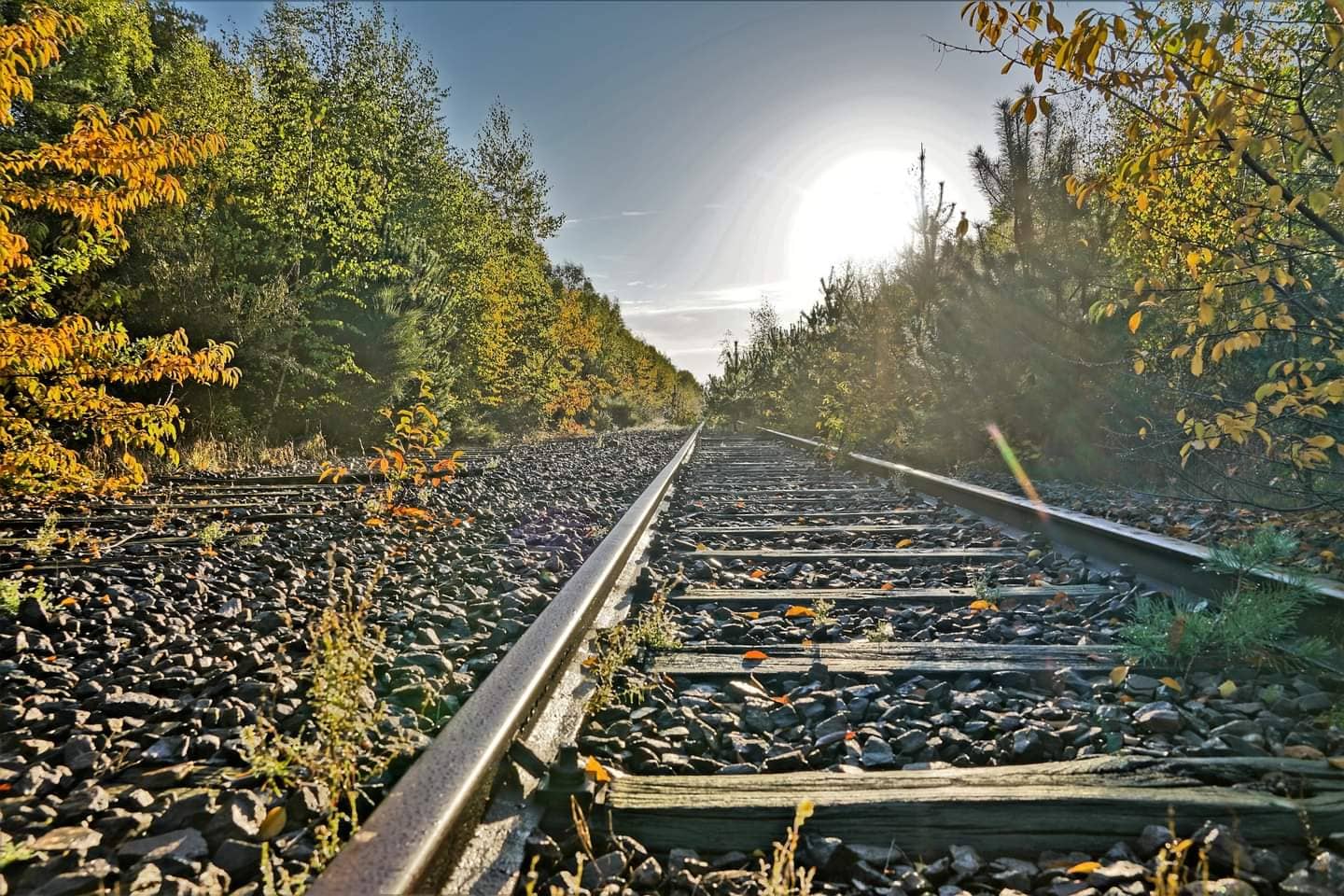 Vertical photo