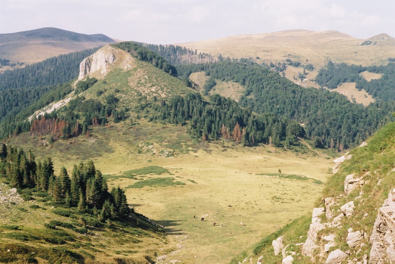 Bjelasica Mountains Kolašin - Image 1